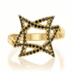 Federman’s Star Legacy Ring - 14k yellow full black setting